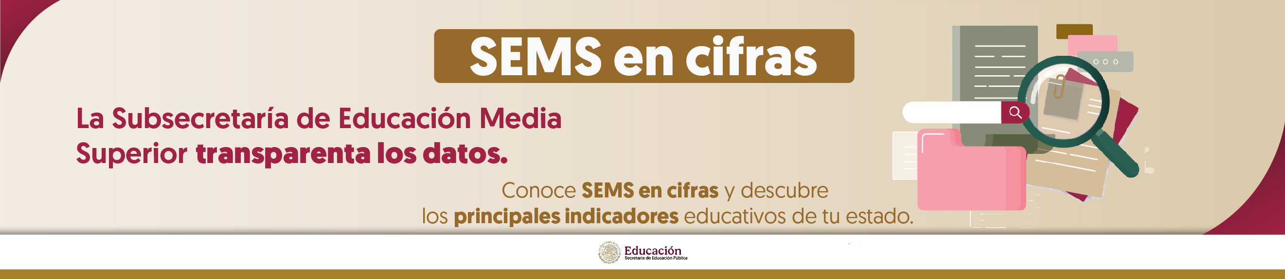 SEMS en cifras